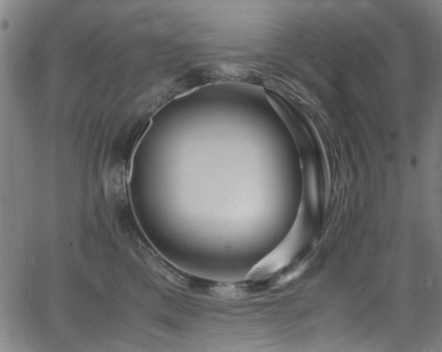 X0000066000425200603031225