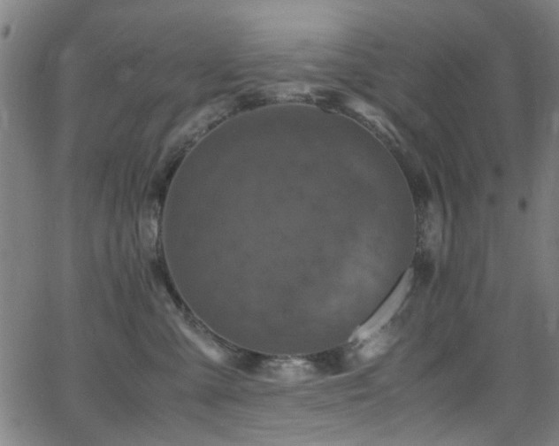 X0000066000427200603031225