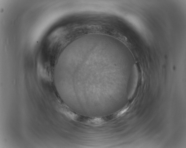 X0000066000431200603031225