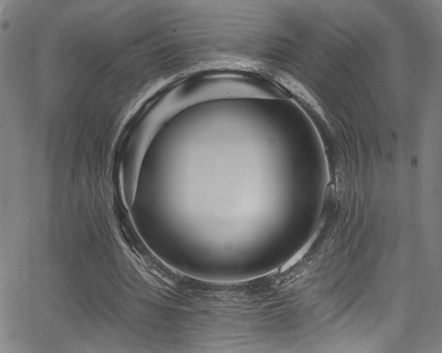 X0000066000436200603031224