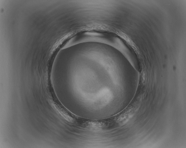 X0000066000442200603031225