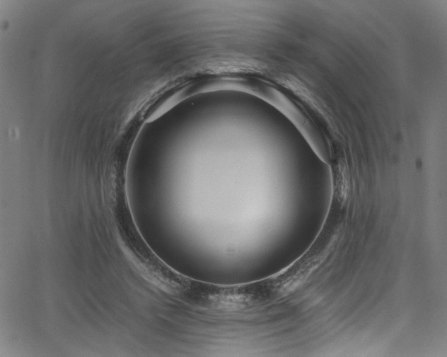 X0000066000448200603031225
