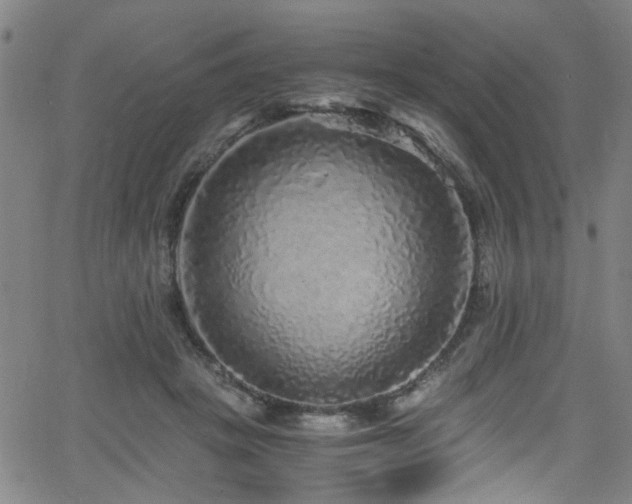 X0000066000457200603031225