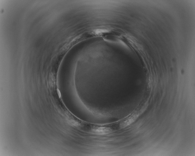 X0000066000467200603031225