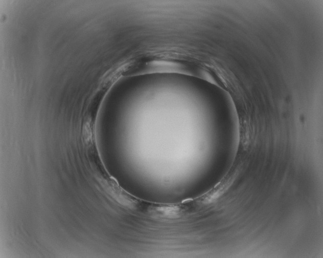 X0000066000478200603031225