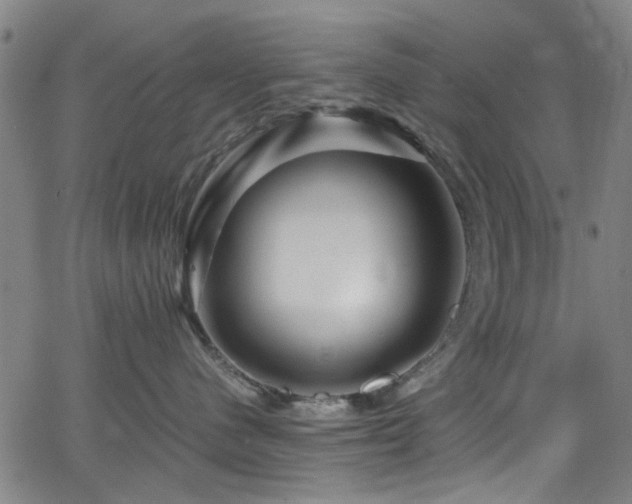 X0000066000480200603031225