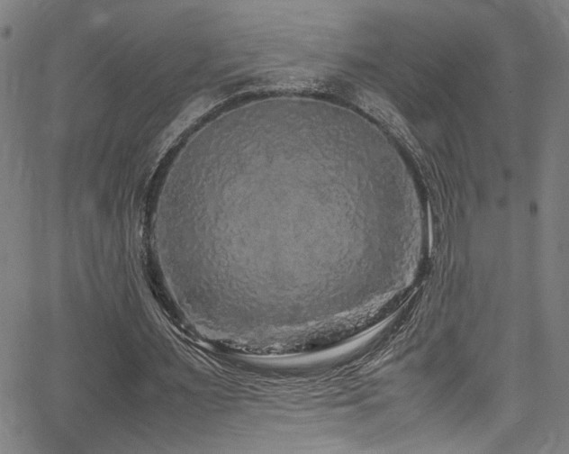 X0000066000483200603031224
