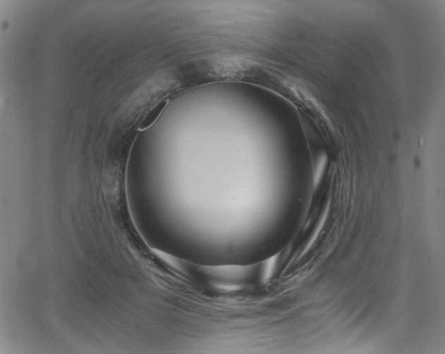 X0000066000505200603031224