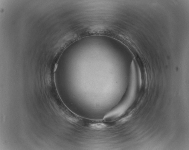 X0000066000508200603031224