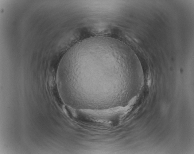 X0000066000515200603031224
