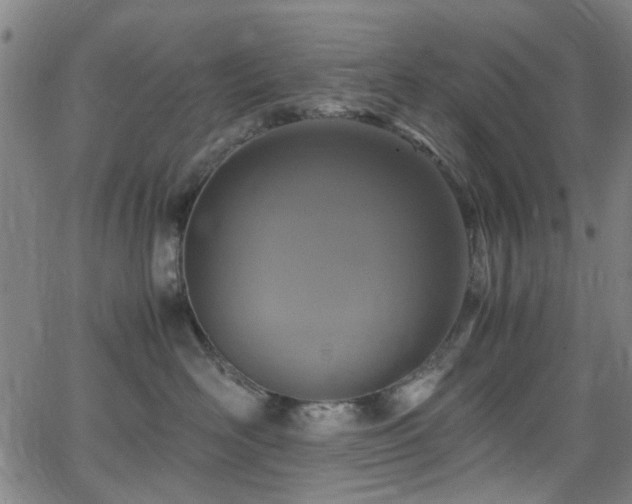 X0000066000526200603031224
