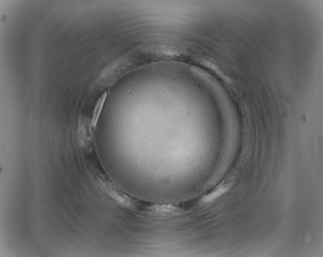 X0000066000528200603031224