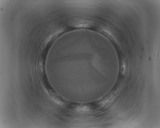 X0000066000547200603031223
