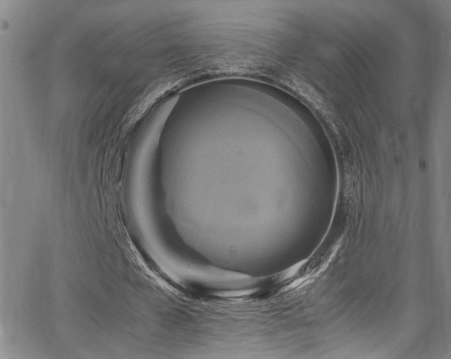 X0000066000577200603031223