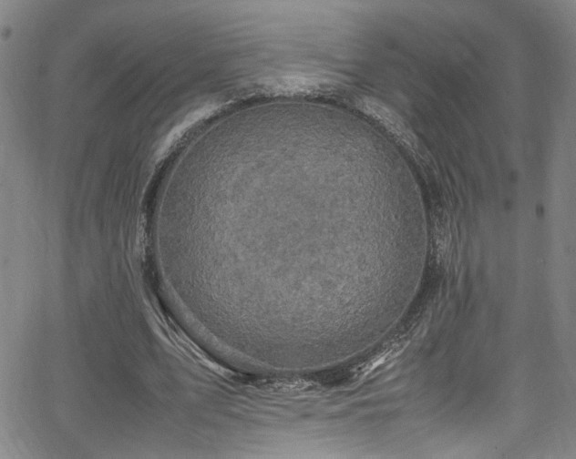 X0000066000583200603031223