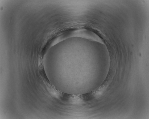 X0000066000624200603031222