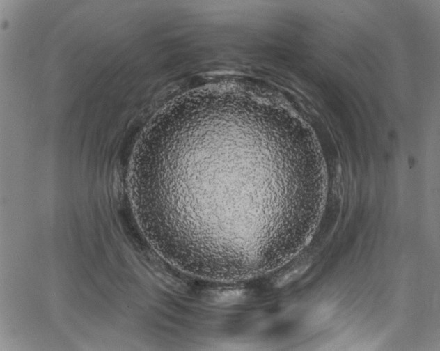 X0000066000651200603031222