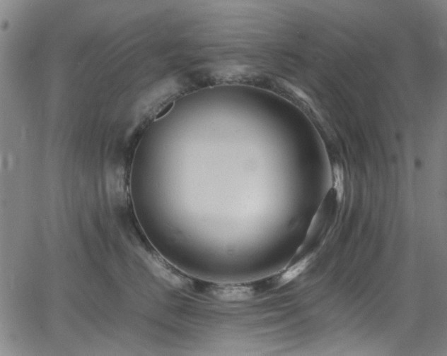 X0000066000670200603031222