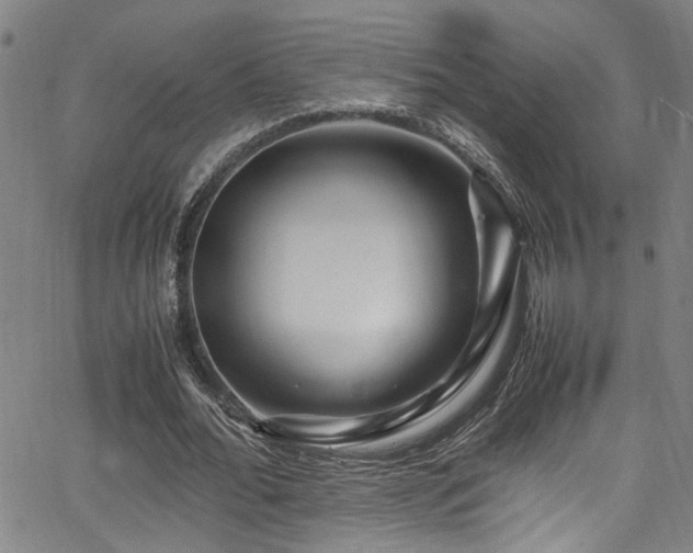 X0000066000676200603031221