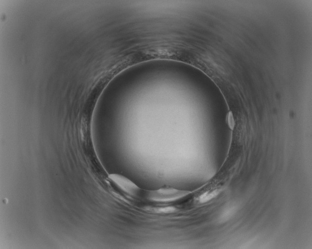 X0000066000747200603031220