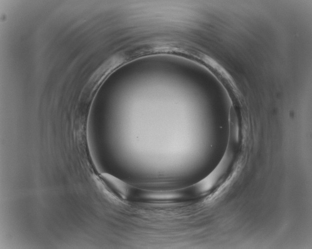 X0000066000801200603031219