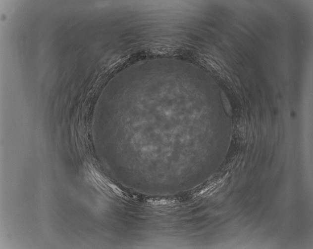 X0000066000817200603031218