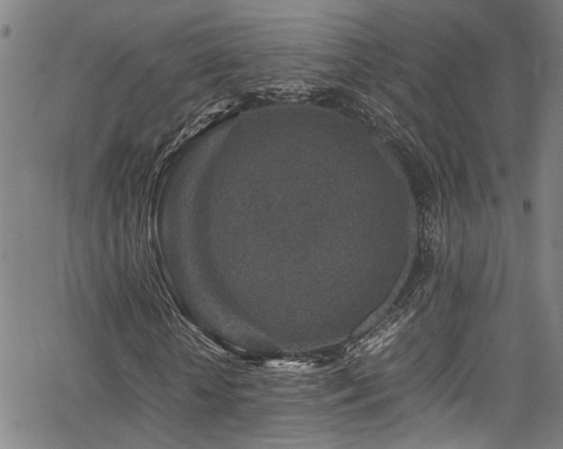 X0000066000818200603031218