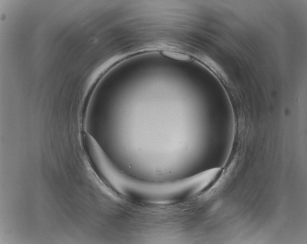X0000066000854200603031219