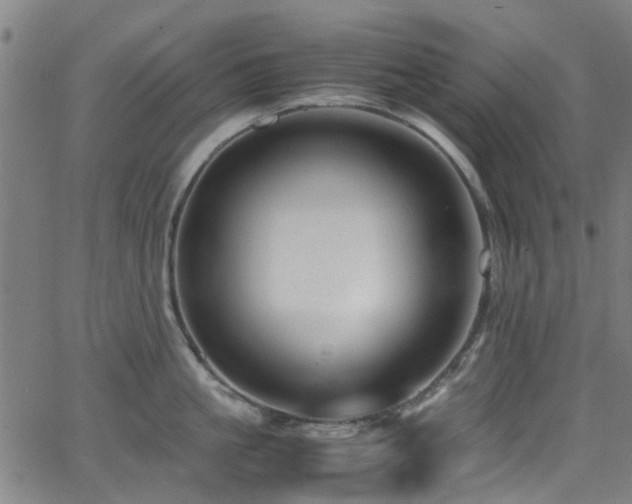X0000066000861200603031219