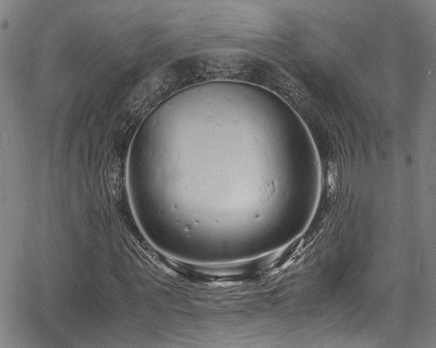 X0000066000867200603031218