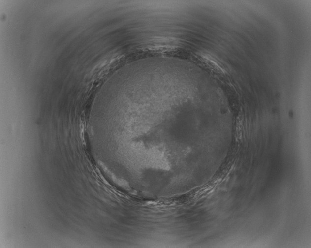 X0000066000917200603031217