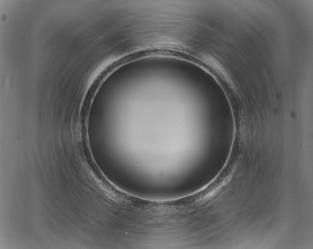 X0000066000924200603031217