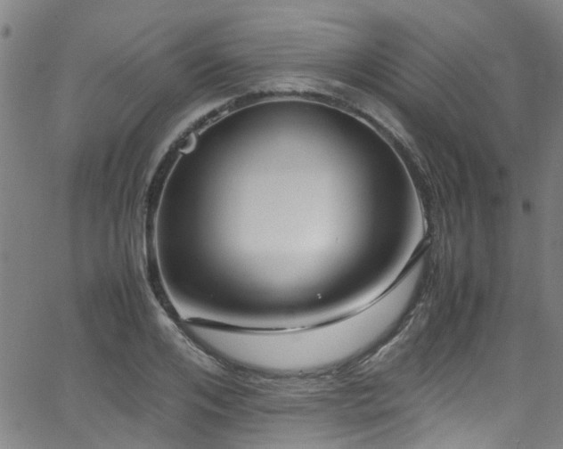 X0000066000984200603031216