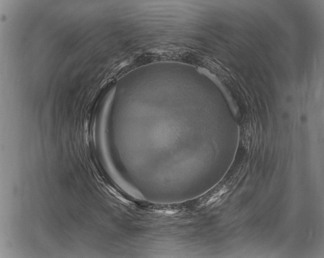 X0000066001010200603031215