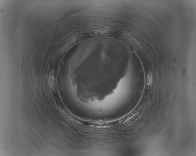 X0000066001011200603031215