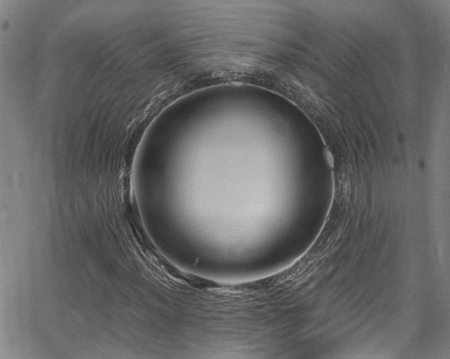 X0000066001012200603031215