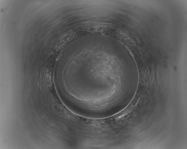 X0000066001013200603031215