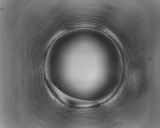 X0000066001049200603031216