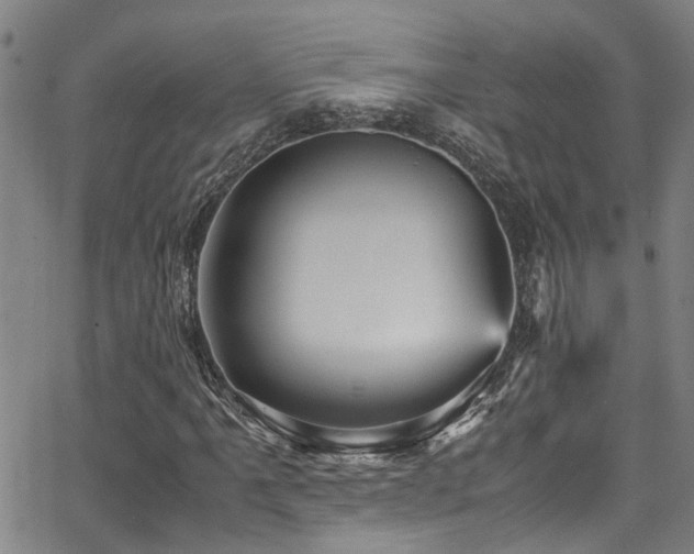X0000066001061200603031215