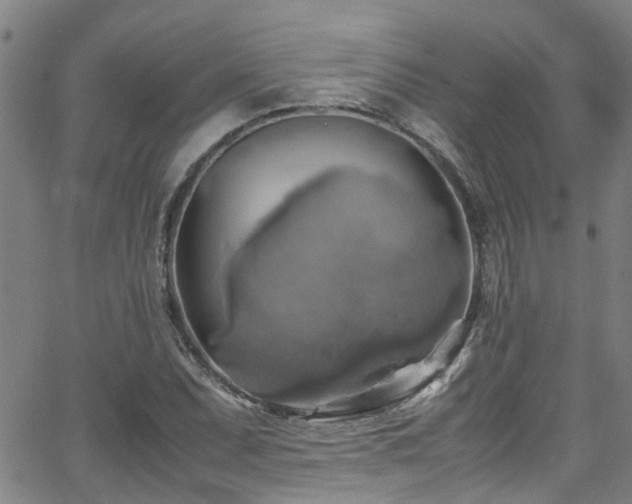 X0000066001071200603031215