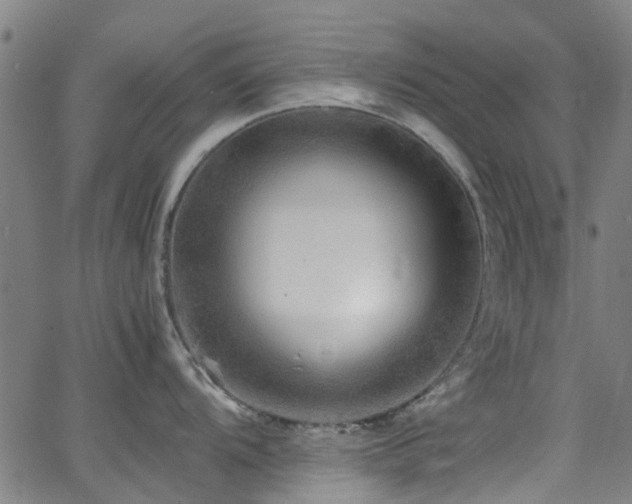 X0000066001104200603031214