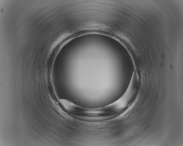 X0000066001114200603031214