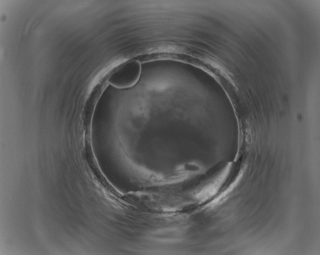 X0000066001117200603031214