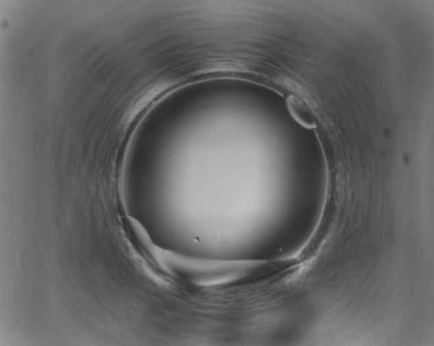 X0000066001129200603031214