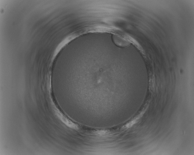 X0000066001130200603031214