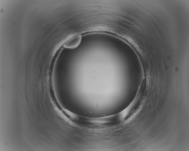 X0000066001134200603031214