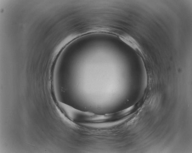 X0000066001143200603031214