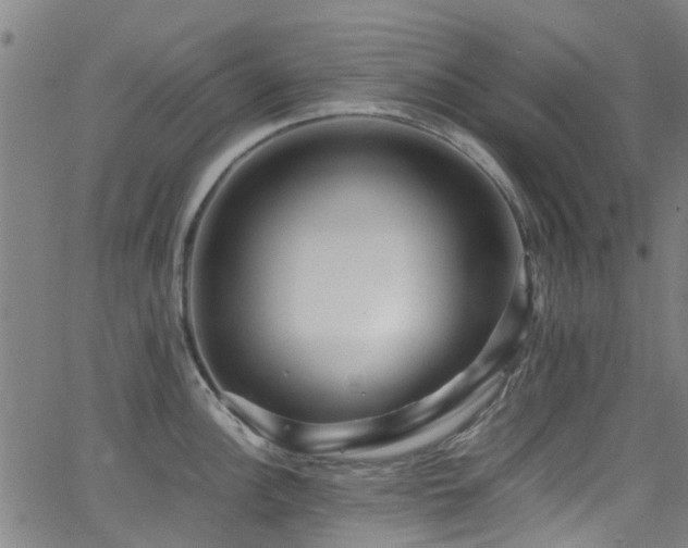 X0000066001148200603031214