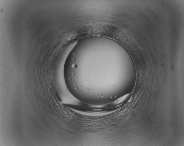 X0000066001153200603031213