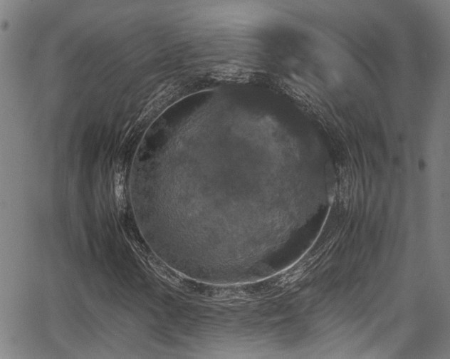 X0000066001154200603031213